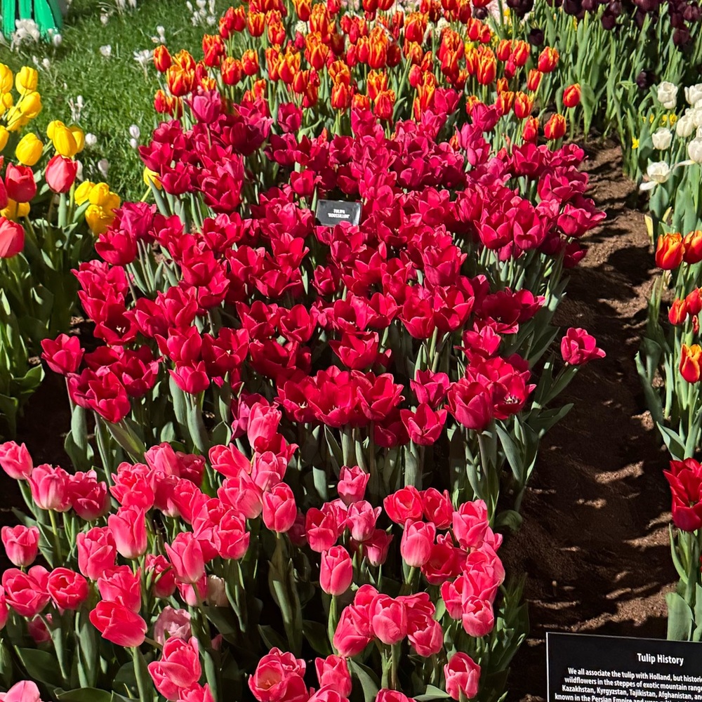 Hey everybody! I'm Alexa :)